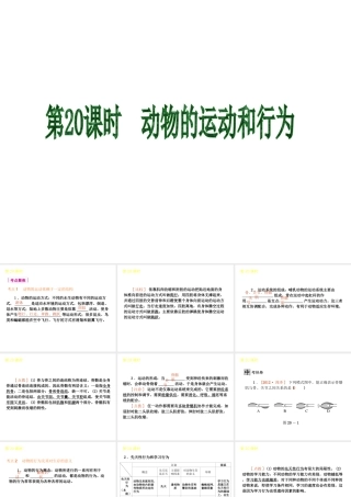 2013届中考生物 考前查漏补缺《第20课时 动物的运动和行为》（考点聚焦 +考前热身+平时知识积累）课件 新人教版
