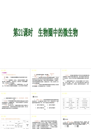 2013届中考生物 考前查漏补缺《第21课时 生物圈中的微生物》（考点聚焦 +考前热身+平时知识积累）课件 新人教版