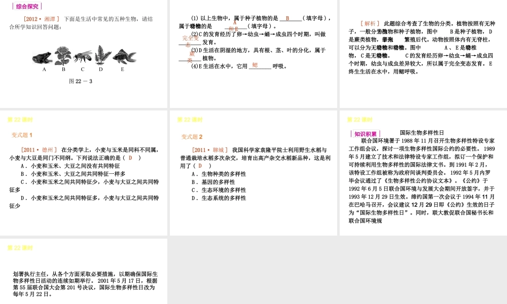 2013届中考生物 考前查漏补缺《第22课时 生物的多样性》（考点聚焦 +考前热身+平时知识积累）课件 新人教版