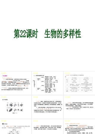 2013届中考生物 考前查漏补缺《第22课时 生物的多样性》（考点聚焦 +考前热身+平时知识积累）课件 新人教版