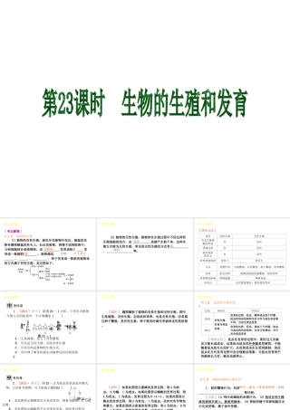 2013届中考生物 考前查漏补缺《第23课时 生物的生殖和发育》（考点聚焦 +考前热身+平时知识积累）课件 新人教版