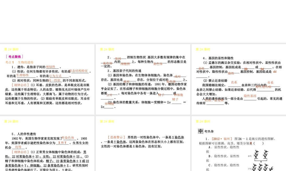 2013届中考生物 考前查漏补缺《第24课时 生物的遗传和变异 》（考点聚焦 +考前热身+平时知识积累）课件 新人教版