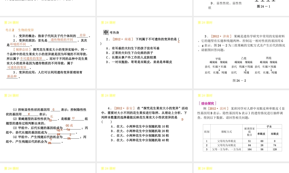 2013届中考生物 考前查漏补缺《第24课时 生物的遗传和变异 》（考点聚焦 +考前热身+平时知识积累）课件 新人教版