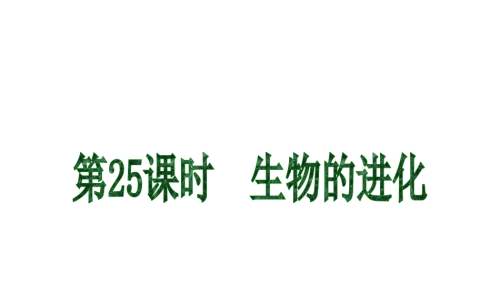 2013届中考生物 考前查漏补缺《第25课时 生物的进化》（考点聚焦 +考前热身+平时知识积累）课件 新人教版