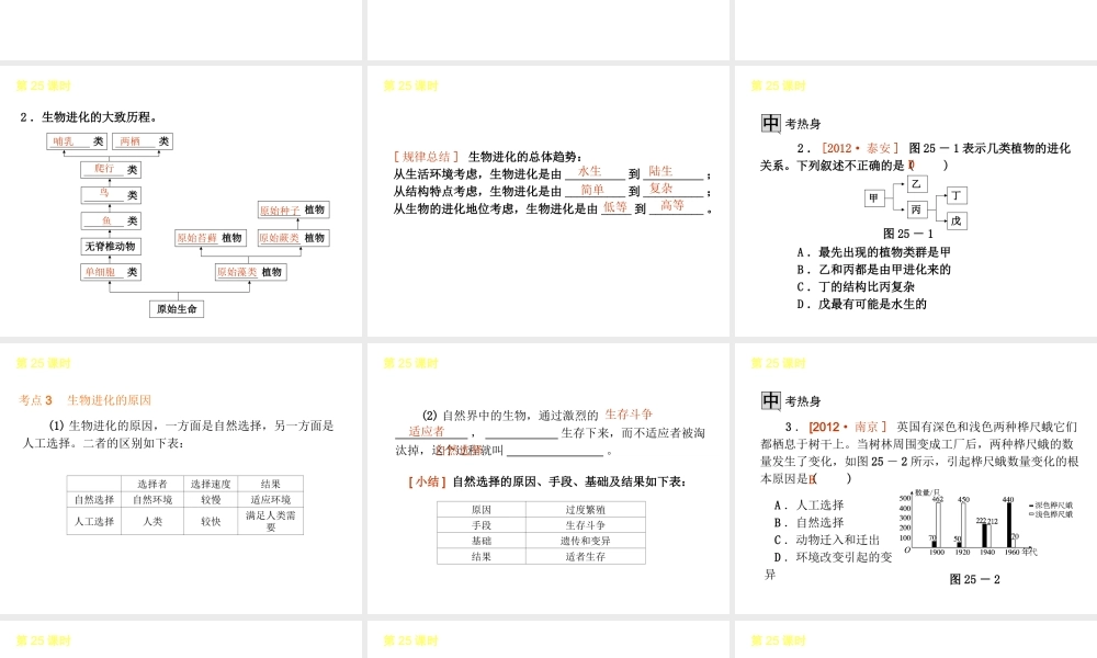 2013届中考生物 考前查漏补缺《第25课时 生物的进化》（考点聚焦 +考前热身+平时知识积累）课件 新人教版