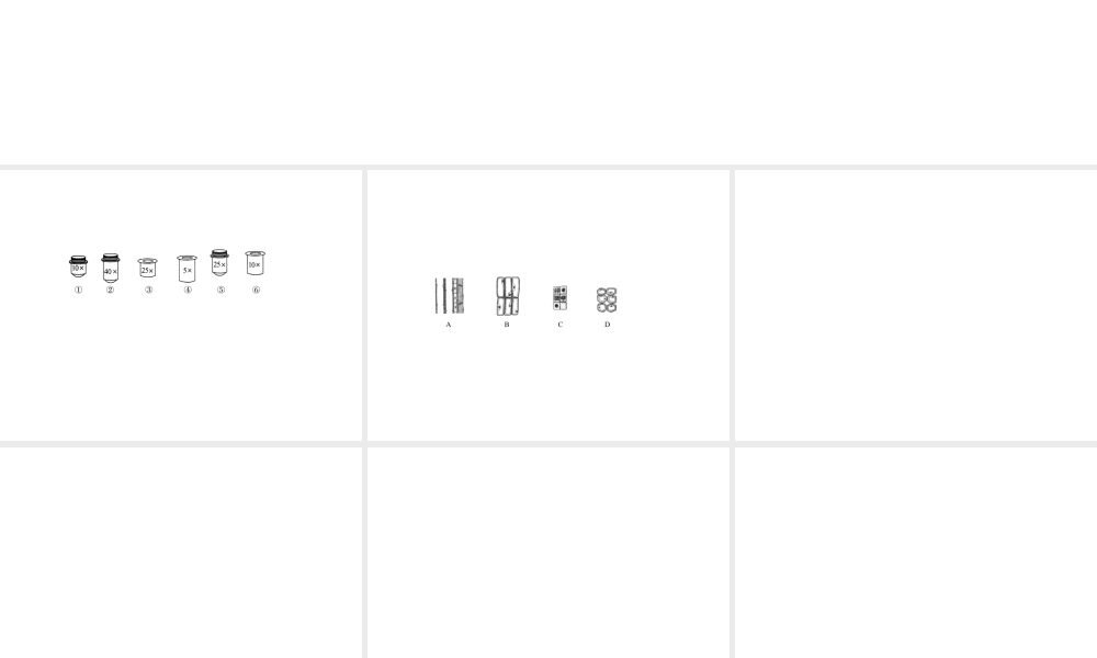 2012版中考科学 专题1-10能力测试精品课件 浙教版