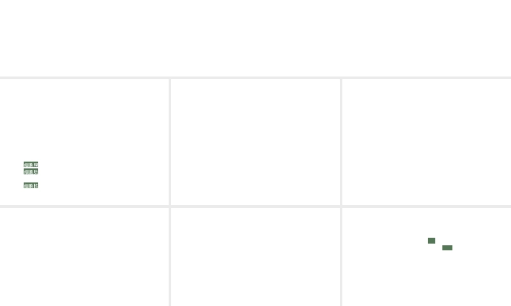 2012版中考科学 专题2细胞精品课件 浙教版