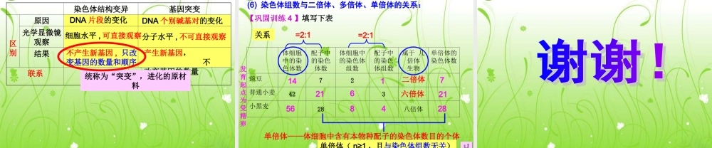 2010高三生物高考复习公开课《染色体变异》（新人教版必修2）