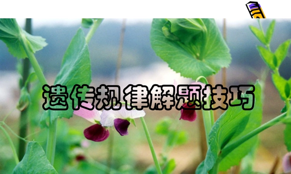 2010高三生物高考解题技巧课件13：新课标高中生物遗传解题技巧