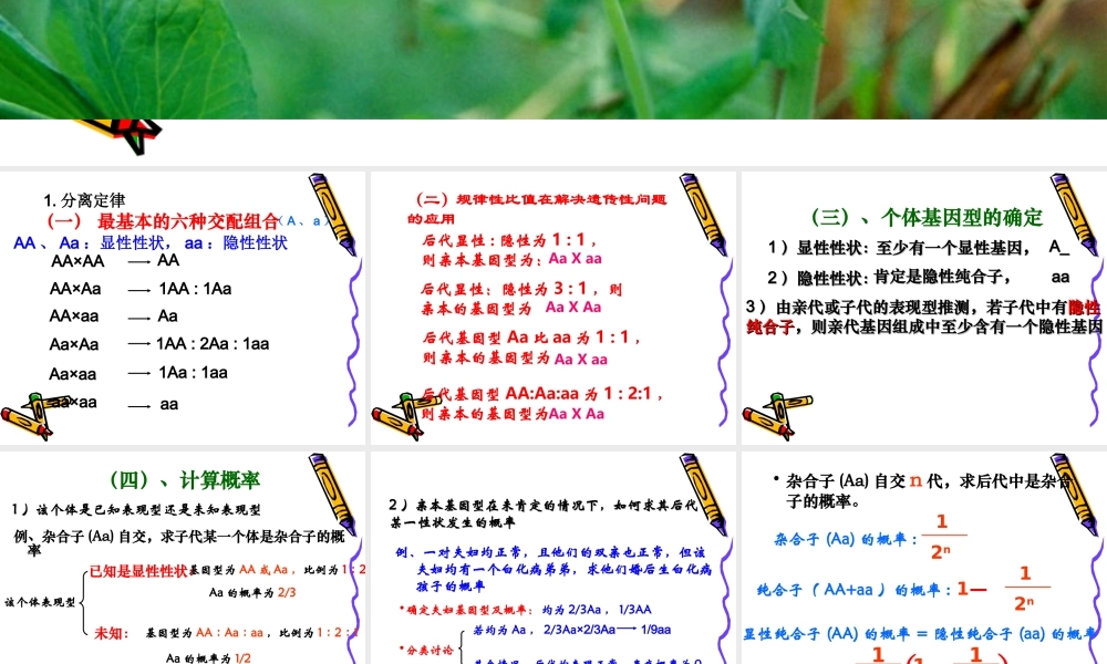 2010高三生物高考解题技巧课件13：新课标高中生物遗传解题技巧