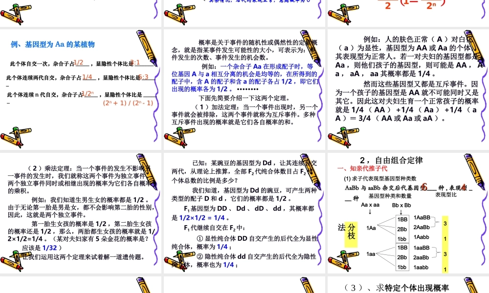 2010高三生物高考解题技巧课件13：新课标高中生物遗传解题技巧