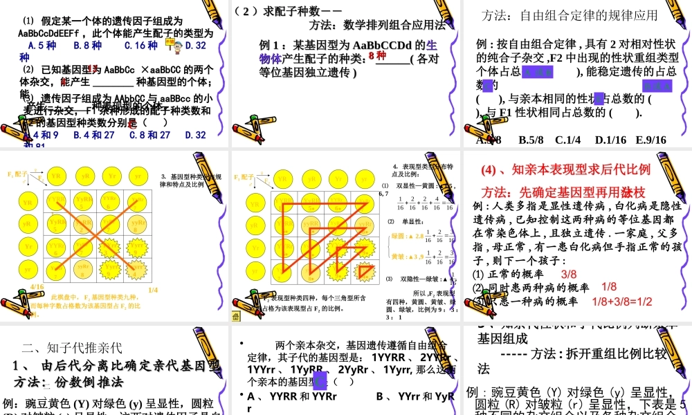 2010高三生物高考解题技巧课件13：新课标高中生物遗传解题技巧