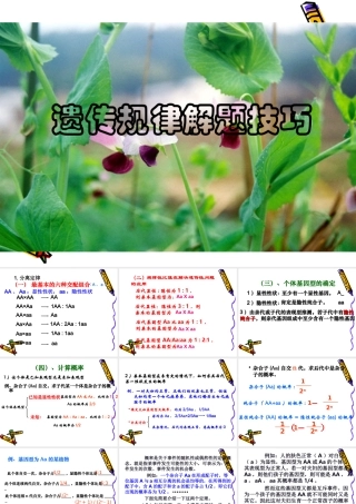 2010高三生物高考解题技巧课件13：新课标高中生物遗传解题技巧