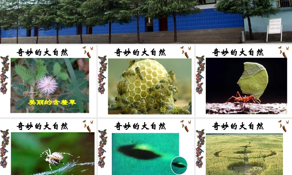 2013年七年级科学上册 1.1 科学并不神秘课件1 浙教版