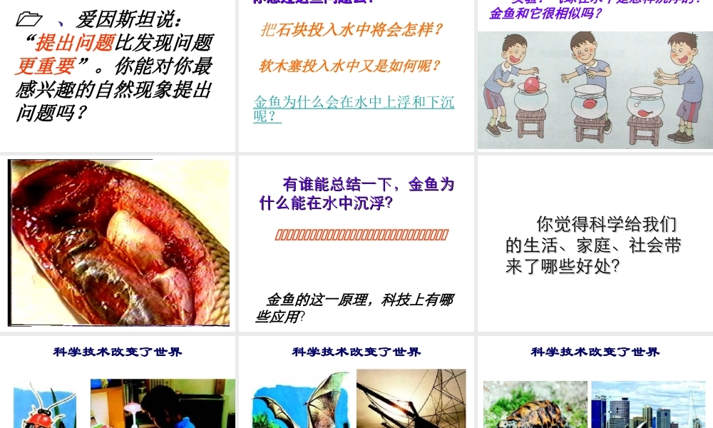 2013年七年级科学上册 1.1 科学并不神秘课件1 浙教版