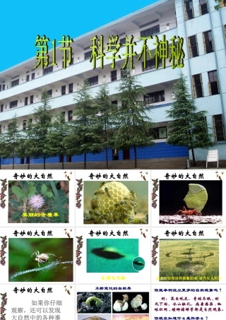 2013年七年级科学上册 1.1 科学并不神秘课件1 浙教版
