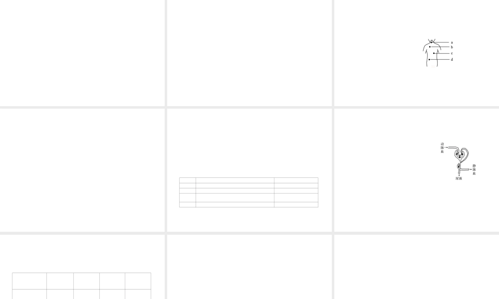 2012版中考科学 专题5人体的新陈代谢精品课件 浙教版