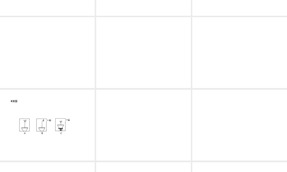 2012版中考科学 专题6生命活动的调节精品课件 浙教版