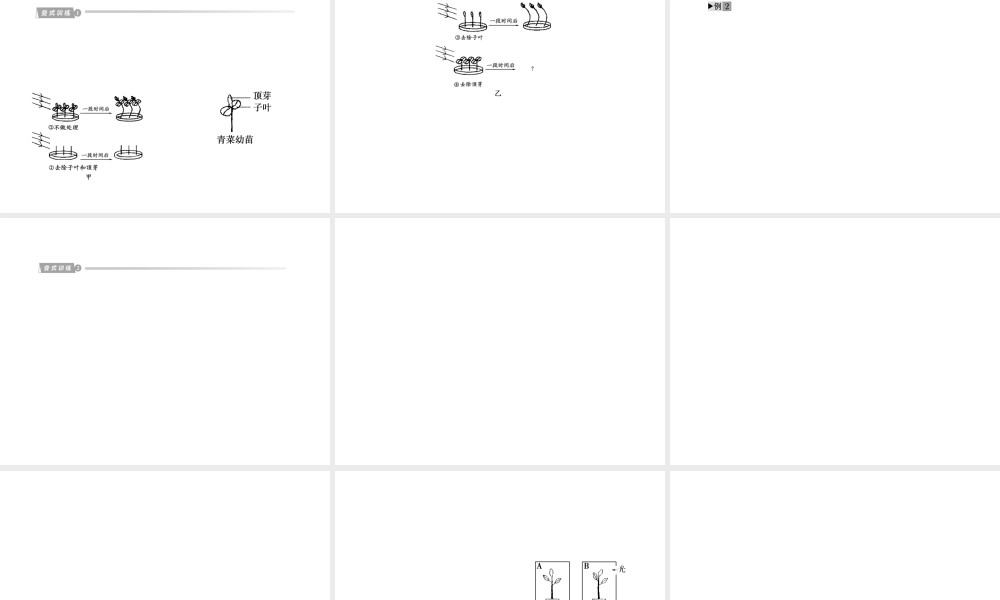 2012版中考科学 专题6生命活动的调节精品课件 浙教版