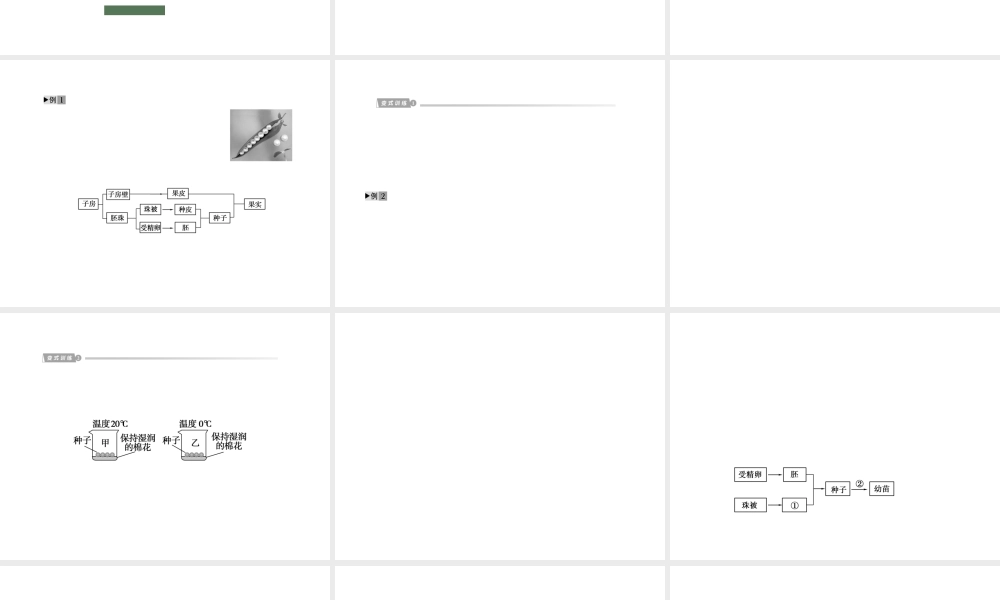 2012版中考科学 专题7植物的生殖与发育精品课件 浙教版