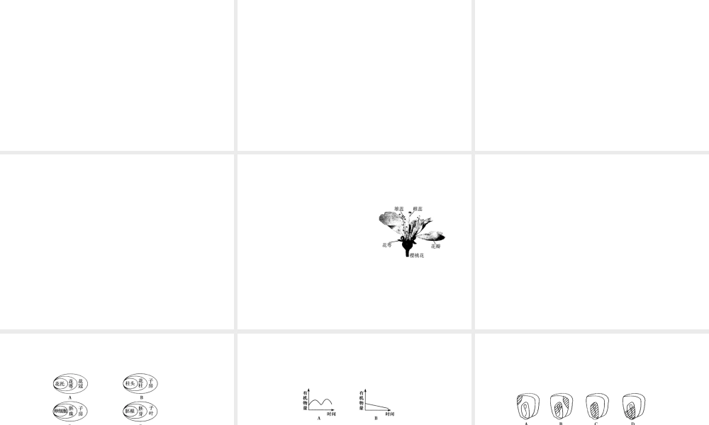2012版中考科学 专题7植物的生殖与发育精品课件 浙教版