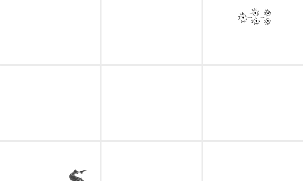 2012版中考科学 专题8人类及动物的生殖与发育精品课件 浙教版