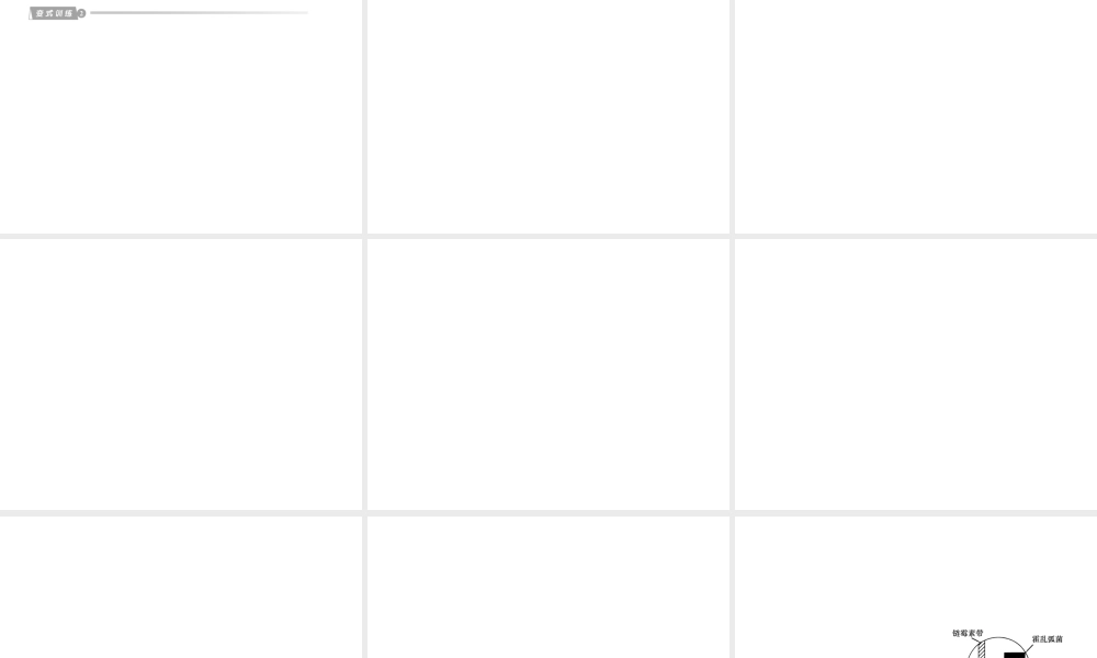 2012版中考科学 专题10人体的健康精品课件 浙教版