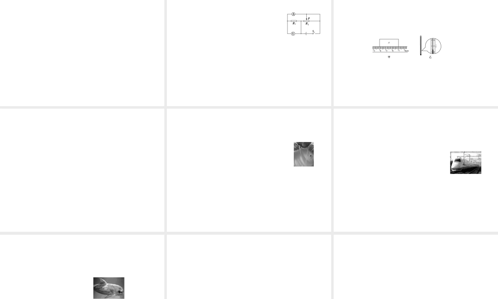 2012版中考科学 专题11-25能力测试精品课件 浙教版