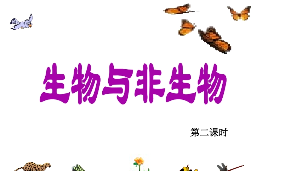 2013年七年级科学上册 2.1 生物和非生物第二课时课件 浙教版