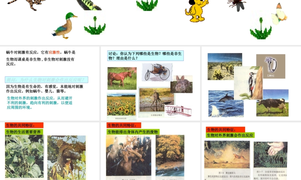 2013年七年级科学上册 2.1 生物和非生物第二课时课件 浙教版