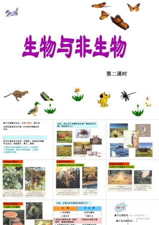 2013年七年级科学上册 2.1 生物和非生物第二课时课件 浙教版