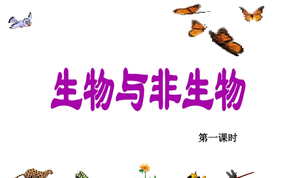2013年七年级科学上册 2.1 生物和非生物第一课时课件 浙教版