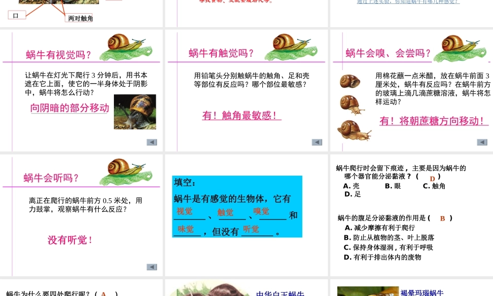 2013年七年级科学上册 2.1 生物和非生物第一课时课件 浙教版