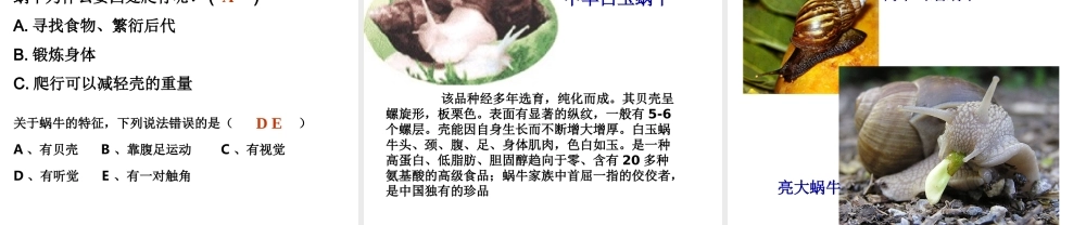 2013年七年级科学上册 2.1 生物和非生物第一课时课件 浙教版