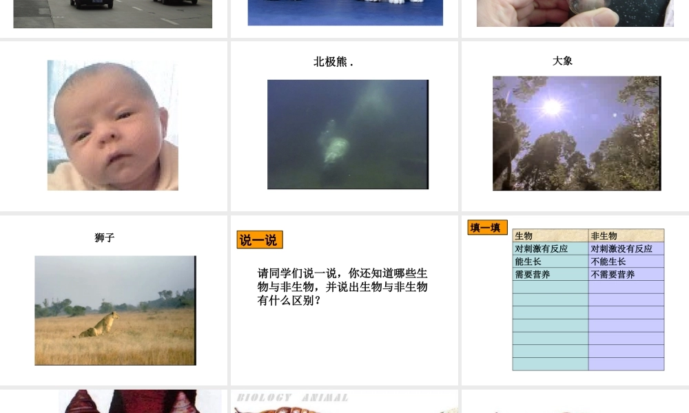 2013年七年级科学上册 2.1 生物和非生物课件1 浙教版