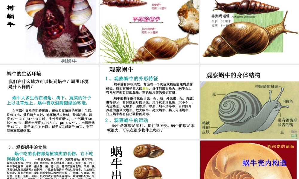 2013年七年级科学上册 2.1 生物和非生物课件1 浙教版