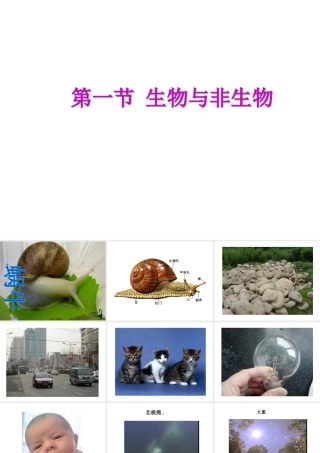2013年七年级科学上册 2.1 生物和非生物课件1 浙教版