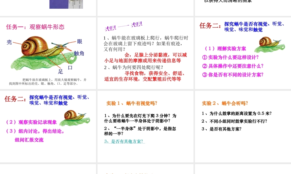 2013年七年级科学上册 2.1 生物与非生物课件2 浙教版