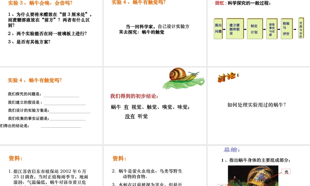 2013年七年级科学上册 2.1 生物与非生物课件2 浙教版