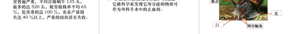 2013年七年级科学上册 2.1 生物与非生物课件2 浙教版