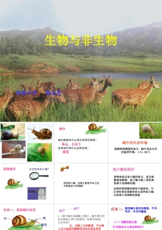 2013年七年级科学上册 2.1 生物与非生物课件2 浙教版