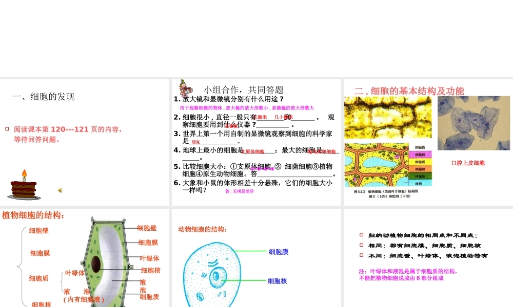 2013年七年级科学上册 2.2 细胞第二课时课件 浙教版