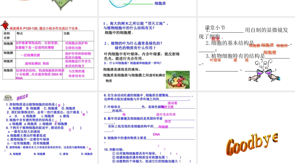 2013年七年级科学上册 2.2 细胞第二课时课件 浙教版