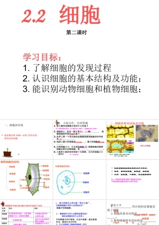 2013年七年级科学上册 2.2 细胞第二课时课件 浙教版