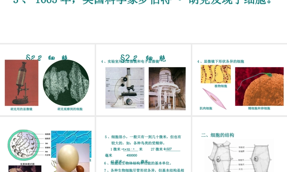 2013年七年级科学上册 2.2 细胞第一课时课件 浙教版