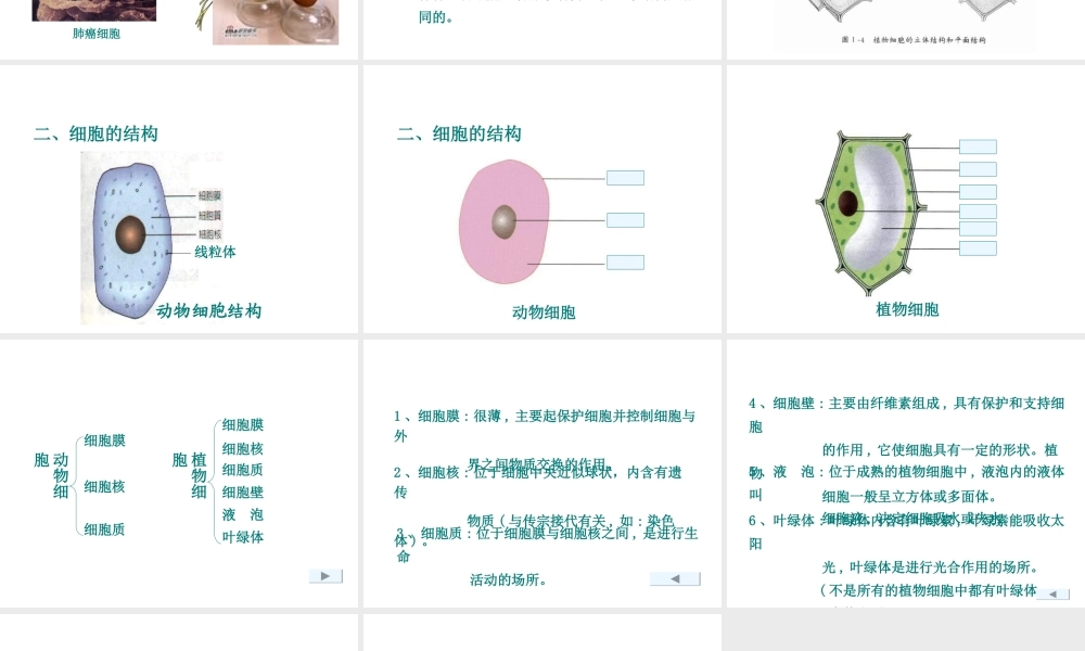 2013年七年级科学上册 2.2 细胞第一课时课件 浙教版