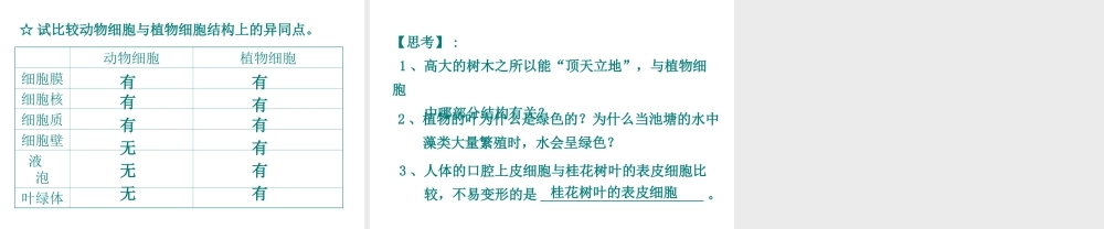 2013年七年级科学上册 2.2 细胞第一课时课件 浙教版