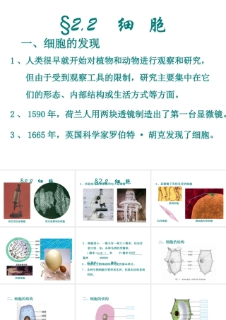 2013年七年级科学上册 2.2 细胞第一课时课件 浙教版