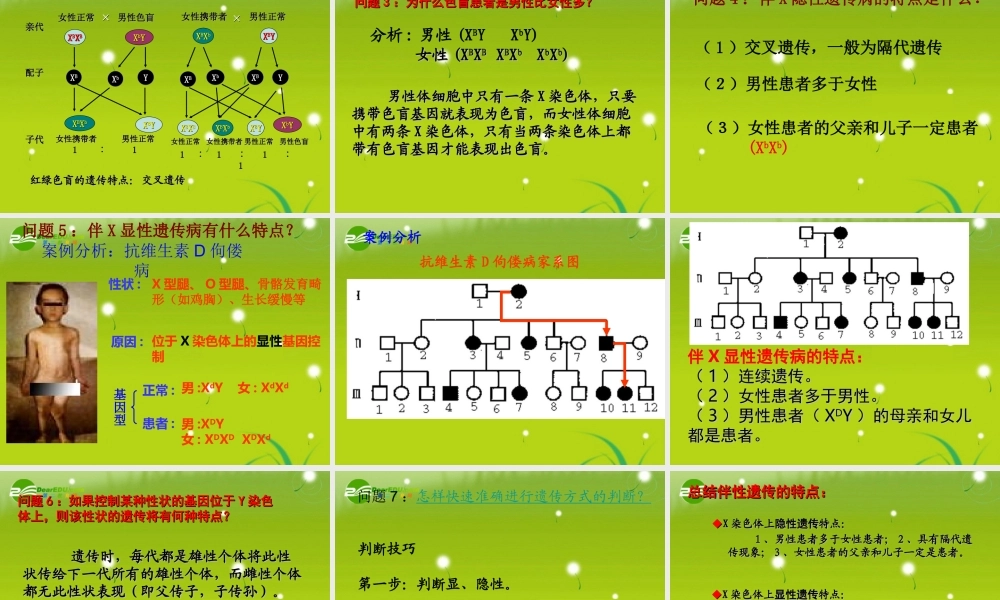 2011年大纲版高考生物第一轮复习案例及有效复习技巧