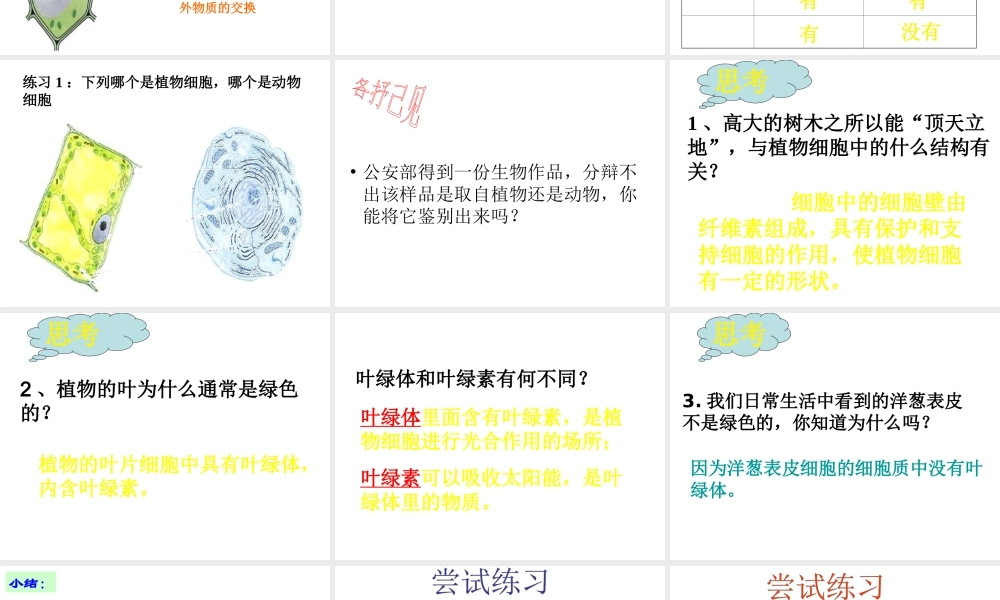 2013年七年级科学上册 2.2 细胞课件 浙教版